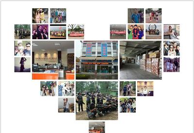 8G黃、8G熒光黃、5#綠、熒光黃8G等塑料熒光顏料 鞍山七彩惠豐標準詳解及市場采購指南